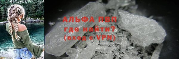 PSILOCYBIN Вяземский