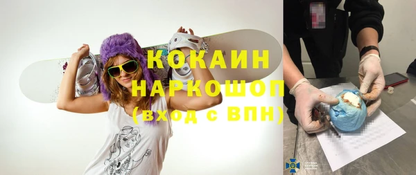 PSILOCYBIN Вяземский