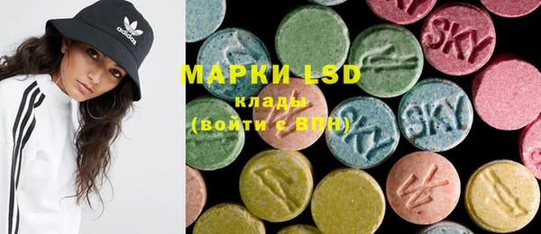 PSILOCYBIN Вяземский