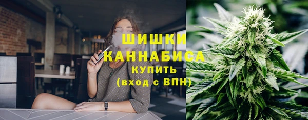твердый Володарск