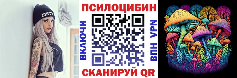 Псилоцибиновые грибы Cubensis  Купить  Сураж 