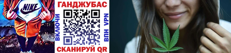Купить где  Сураж  Каннабис индика 